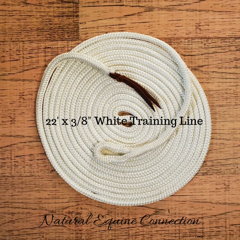 22-ft Ground Training Rope
