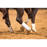 The entire line of Iconoclast Orthopedic Horse Support Boots were designed and endorsed by leading equine veterinarians and horsemen.