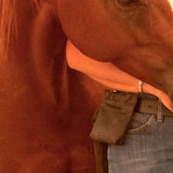 Treat Pouch for Horses or Dogs