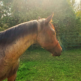 Horse Quick Easy Catch Rope Halter