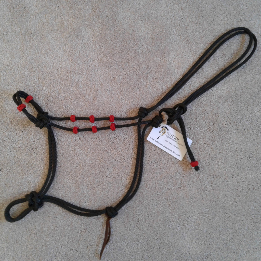 Rope Horse Training Halter with Fiador Knot – Natural Equine Connection