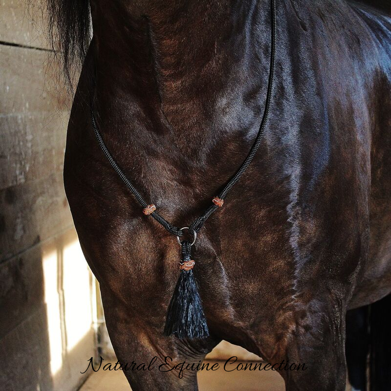 Horse Neck Ropes with Leather Braid Accents – Natural Equine