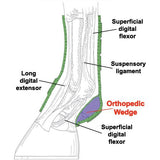 Diagram of orthopedic wedge of the Iconoclast Equine Rehab Boot